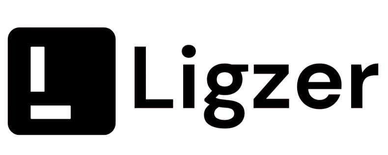 Ligzer web agency for physical therapy clinic logo